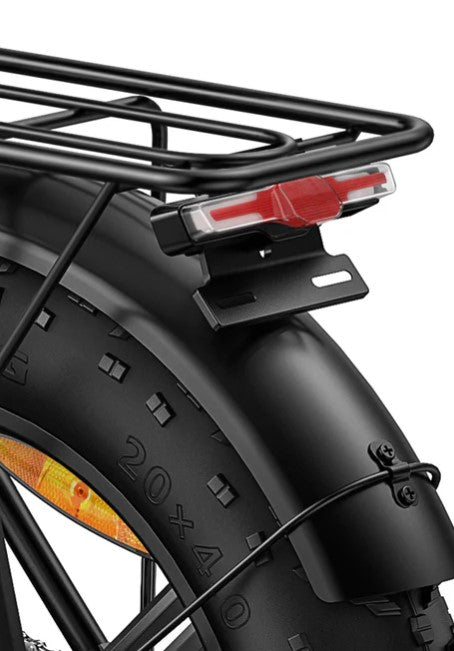 E-BIKE ENGWE EP2-PRO 250 WATT AUTONOMIA DI 120 KM