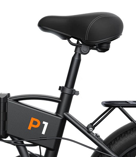 E-BIKE ENGWE P1 250 WATT AUTONOMIA DI 80 KM