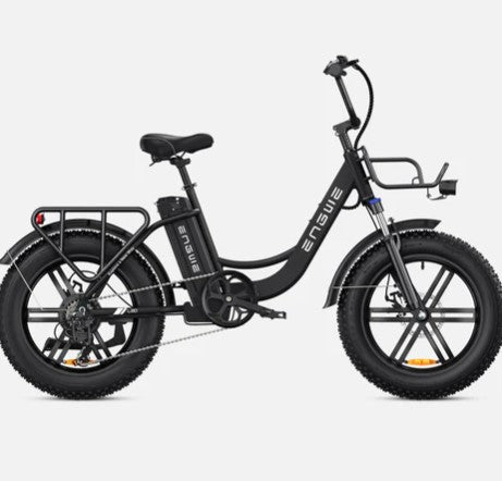E-BIKE ENGWE L20 BOOST 250 WATT AUTONOMIA DI 120 KM