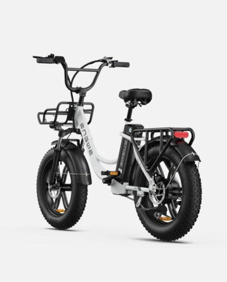 E-BIKE ENGWE L20 BOOST 250 WATT AUTONOMIA DI 120 KM