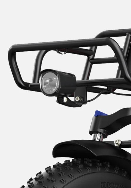 E-BIKE ENGWE L20 BOOST 250 WATT AUTONOMIA DI 120 KM