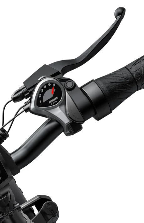E-BIKE ENGWE EP2-PRO 250 WATT AUTONOMIA DI 120 KM